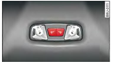 Audi Q3. Abb. 46 Dachhimmel hinten: LED-Leseleuchten*