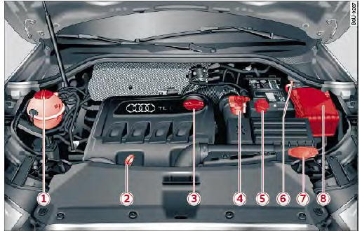 Audi Q3. Abb. 170 Typische Anordnung der Behälter und der Motoröl-Einfüllöffnung