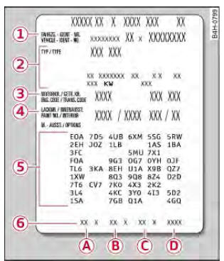 Audi Q3. Abb. 219 Fahrzeugdatenträger