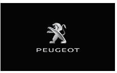 Peugeot 3008. PEUGEOT Connect Radio