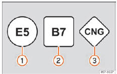 Seat Ateca. Abb. 304 Kraftstoffkennzeichnung nach EURichtlinie 2014/94/EU