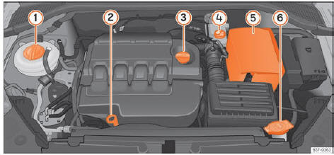 Seat Ateca. Abb. 310 Abbildung für die Einbaustellen der Elemente