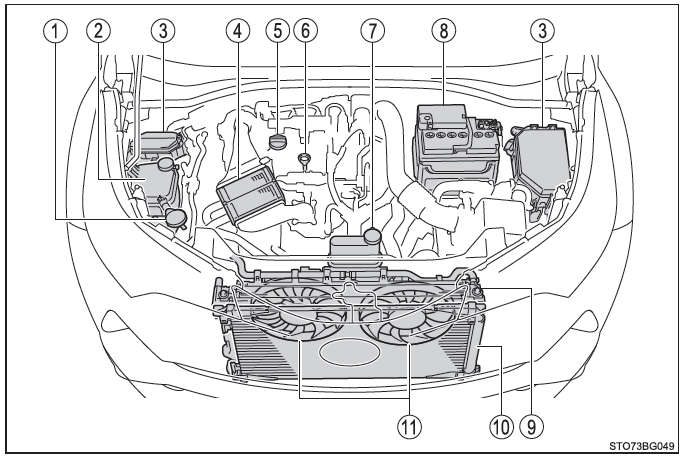 Toyota CH-R. Wartung und Pflege