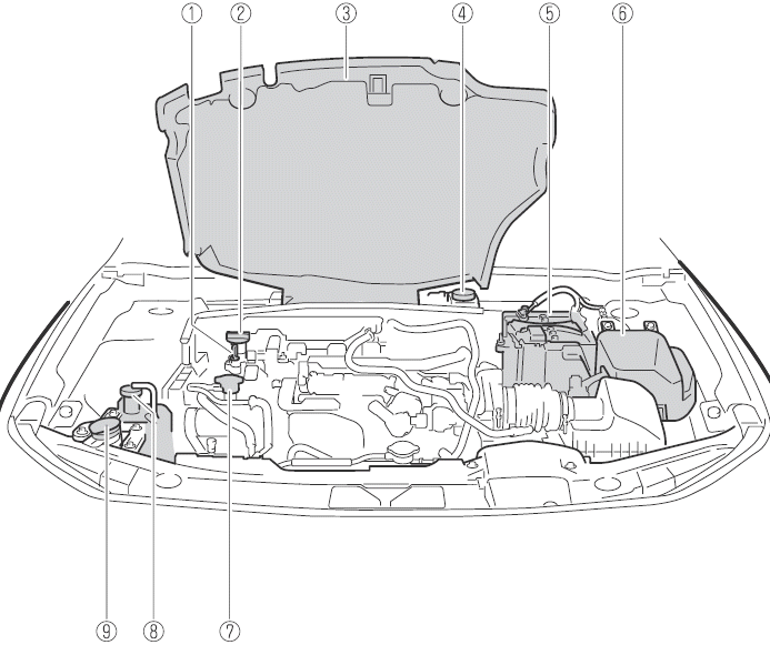 Mazda CX-30. Wartung durch Fahrzeughalter
