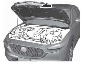 Mazda CX-30. Technische Daten
