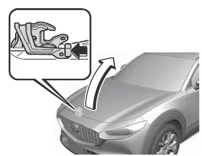 Mazda CX-30. Wartung durch Fahrzeughalter