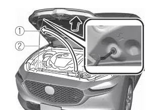 Mazda CX-30. Wartung durch Fahrzeughalter