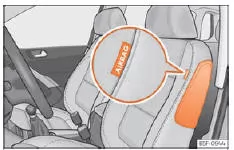 Seat Ateca. Abb. 21 Seitenairbag im Fahrersitz