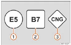 Seat Ateca. Abb. 304 Kraftstoffkennzeichnung nach EURichtlinie 2014/94/EU