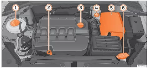 Seat Ateca. Abb. 310 Abbildung für die Einbaustellen der Elemente
