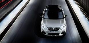 Peugeot 3008 Betriebsanleitung